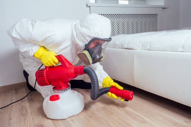 Best Pest Prevention Services  in Oceanside, NY